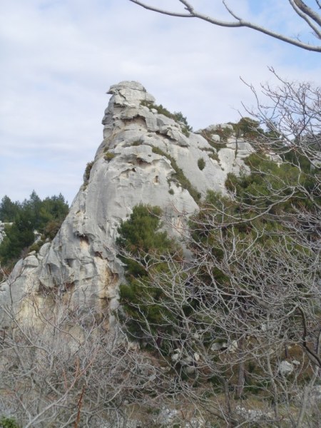 050.JPG