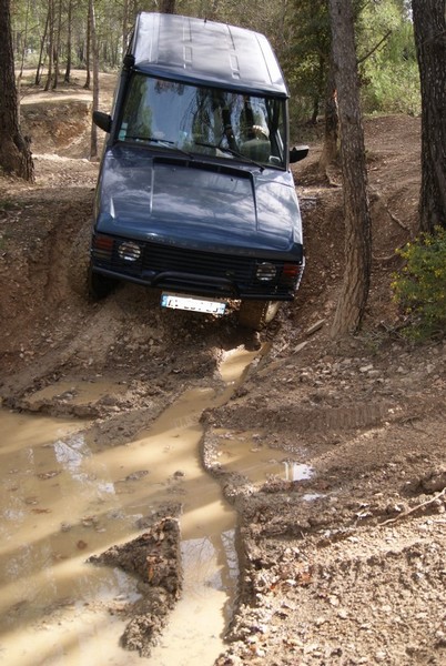 Belco 04.11 015.JPG