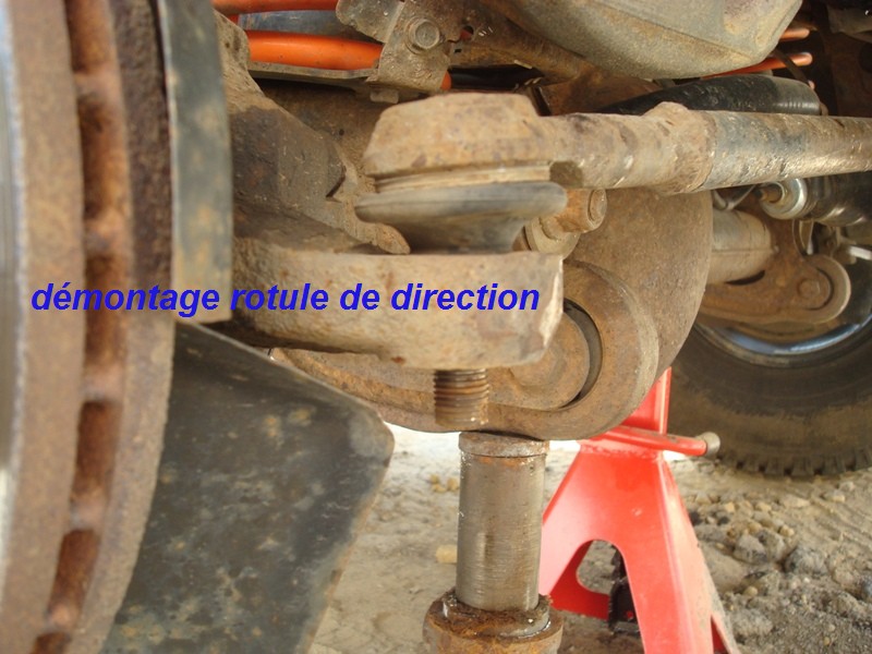 DSC00678.JPG