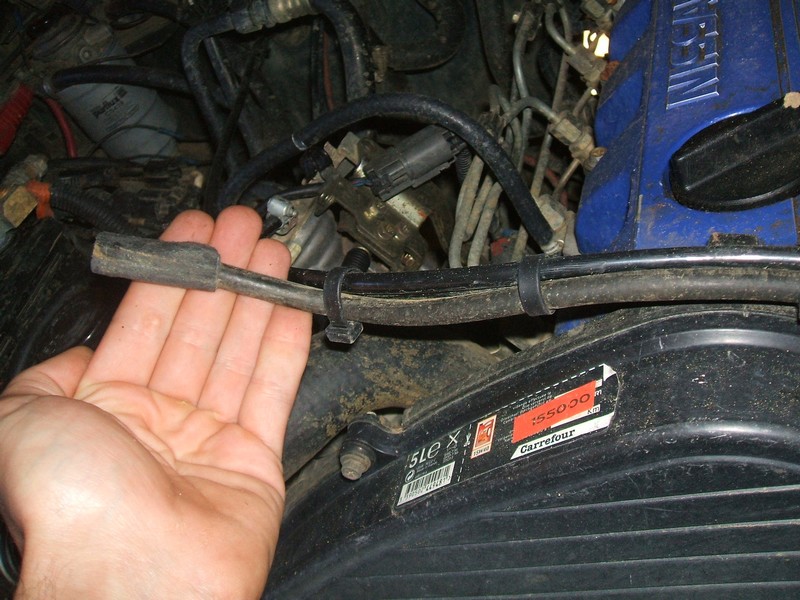 DSCF1207.JPG