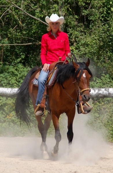 Edon (pur sang arabes)