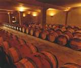 cave à vin.jpeg