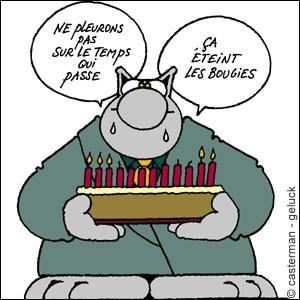 le chat.jpg