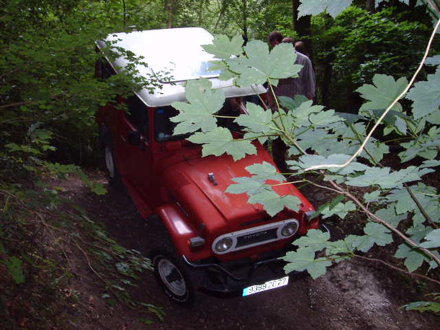 SD533256.JPG