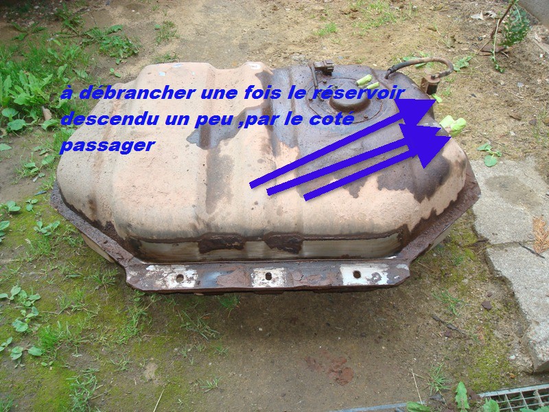 DSC01803 - Copie.JPG