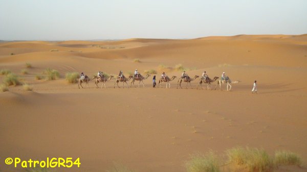 Dsc06622.jpg
