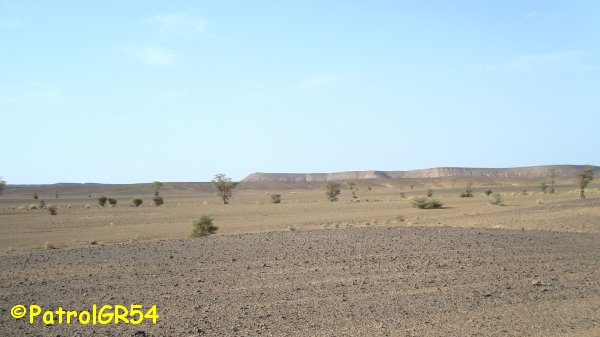 Dsc06736.jpg