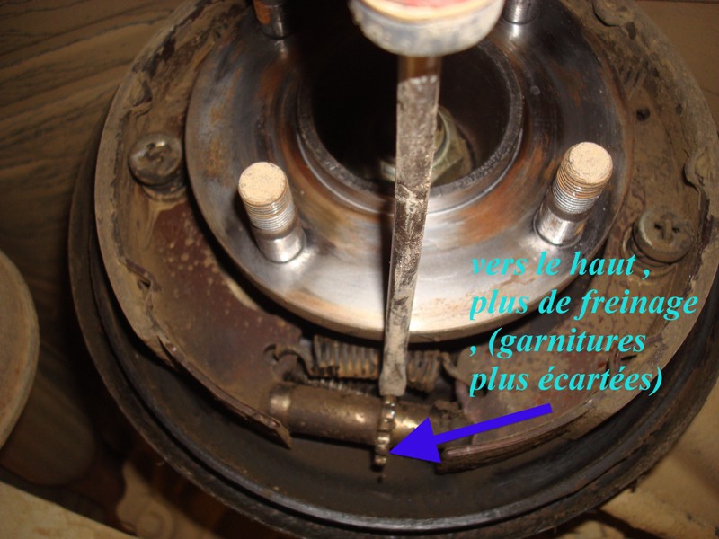 DSC01811 - Copie.JPG