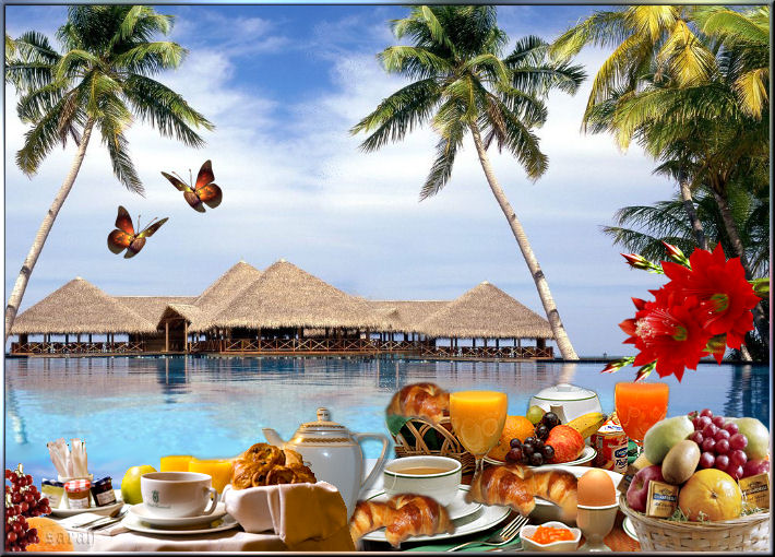 Petit déj tropical.jpg