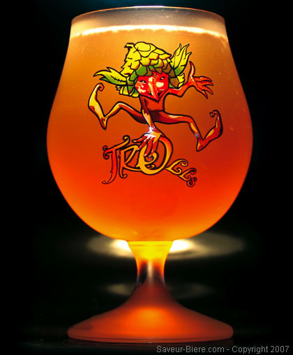 verre-biere-cuvee-des-trolls.jpg