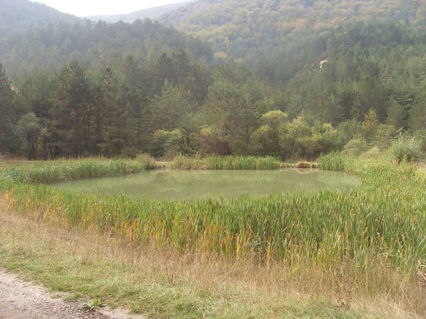 Asselou 09.09 022.JPG