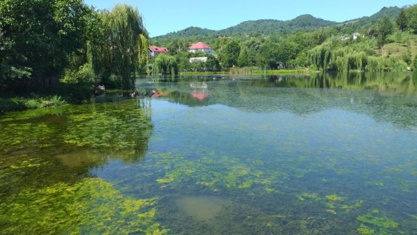 Lac Nucsoara.jpg