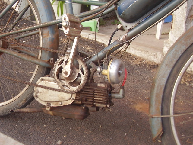P3140006.JPG