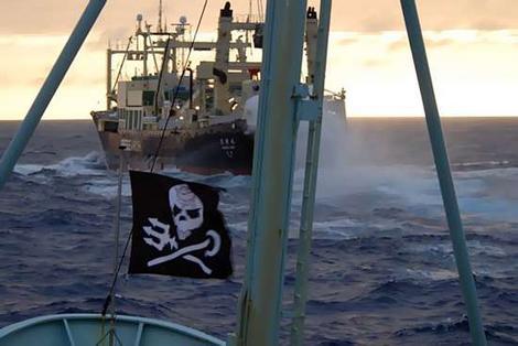 seashepherd2_wideweb__470x314,0.jpg