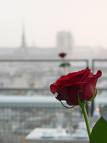 ne pas oublier vos femmes