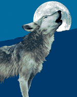 loup.gif