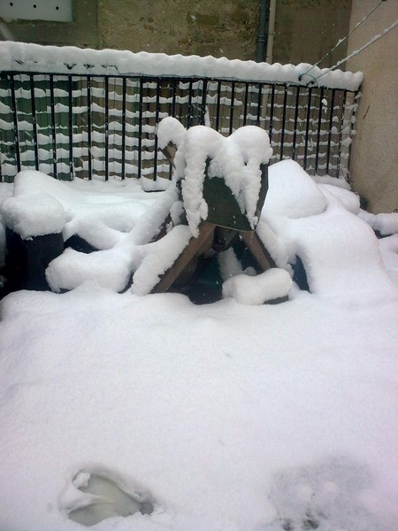 08032010.jpg