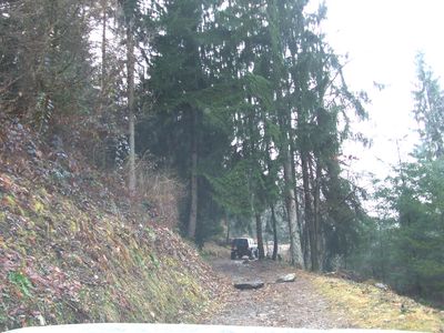 Dodol chemin foret.jpg