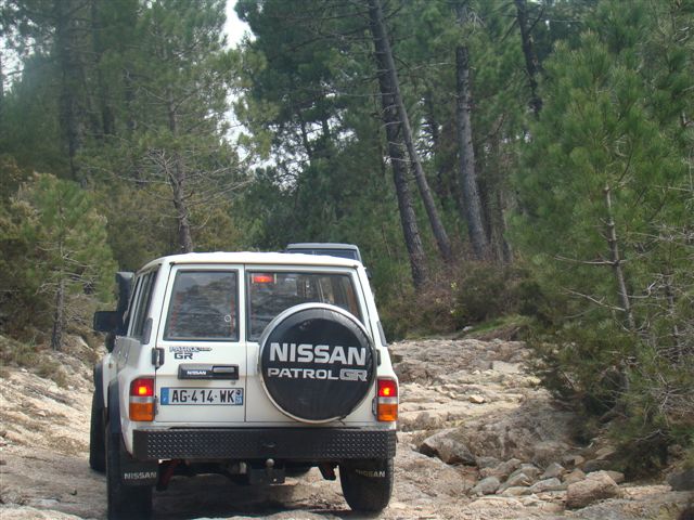 DSC07056.JPG