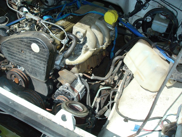 DSC09281.JPG