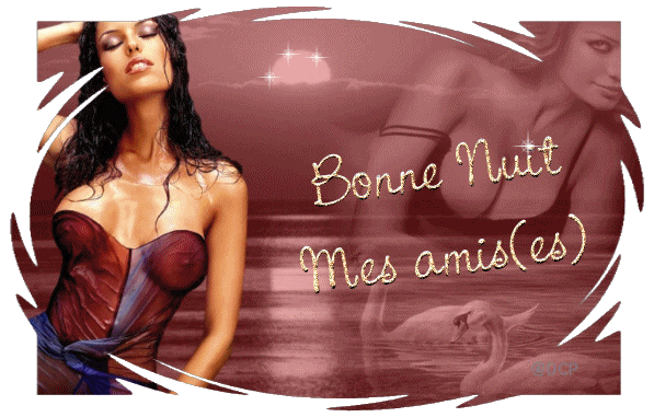 re-bonne-nuit.gif