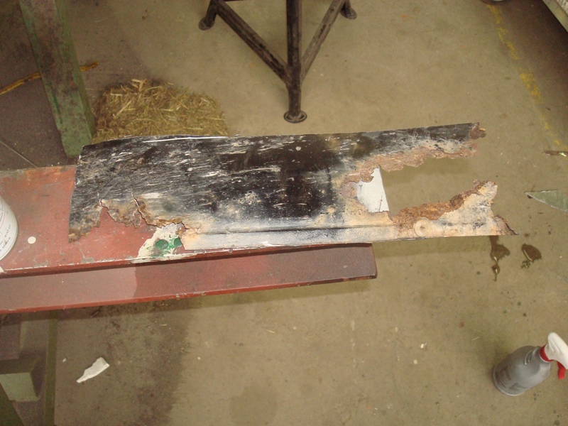 DSC09728.JPG