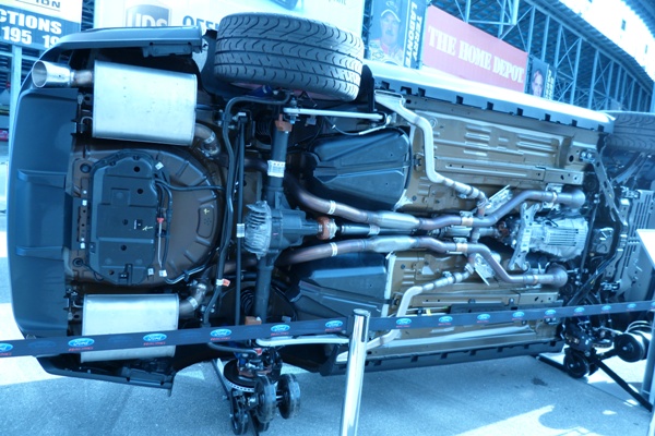 P1000356.JPG