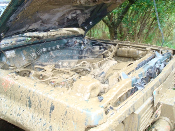 173.JPG